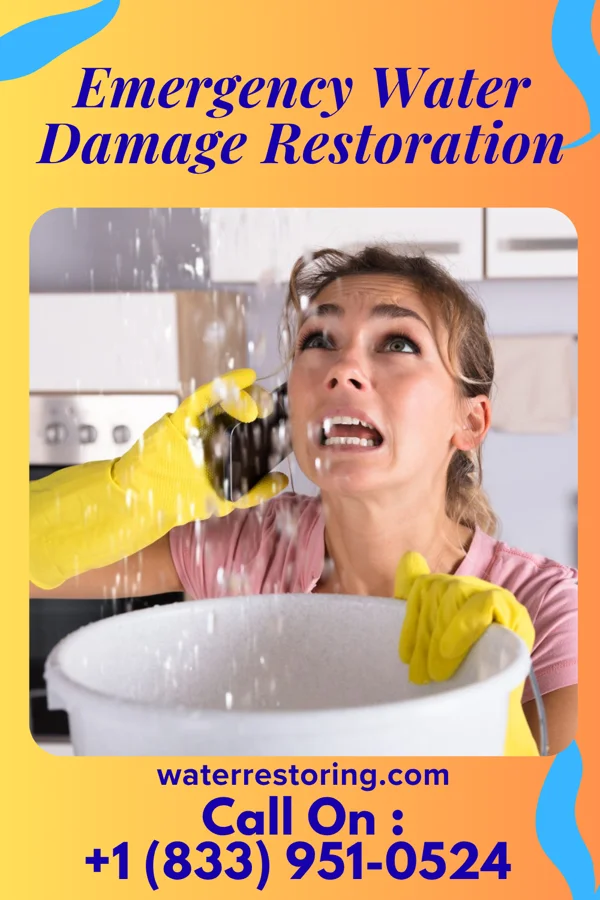 Emergency Water Damage Restoration in Lake Ketchum, WA